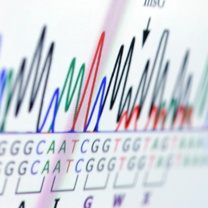 Test sportovních předpokladů pro děti a mládež