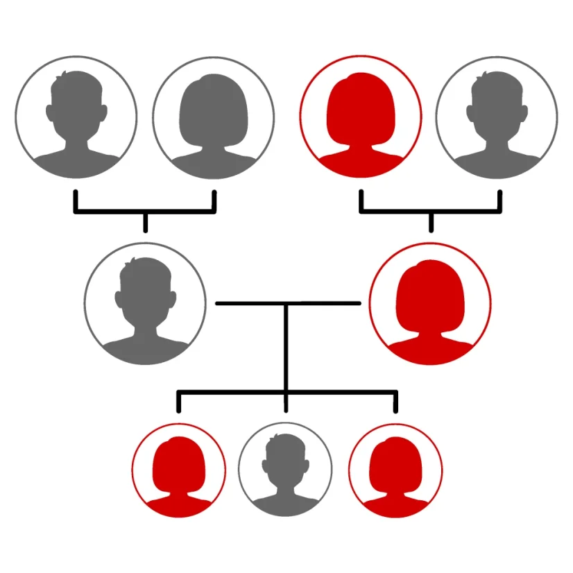 DNA test původu z matčiny strany