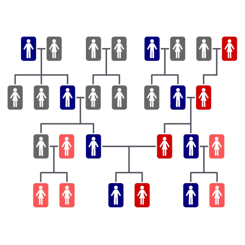 Genetický test kořenů rodiny PLUS