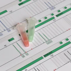 Určení talentů a genetického potenciálu