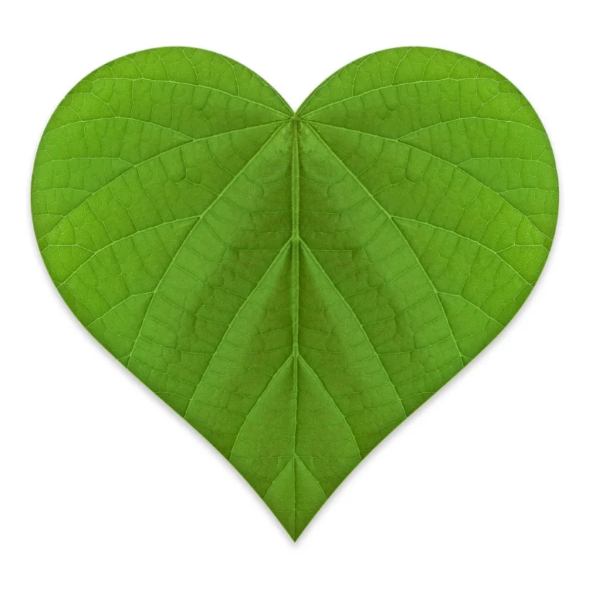 Výživa a chronická onemocnění