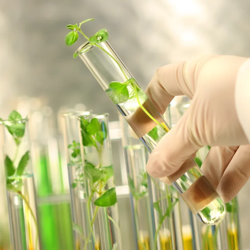 Výživa a chronická onemocnění