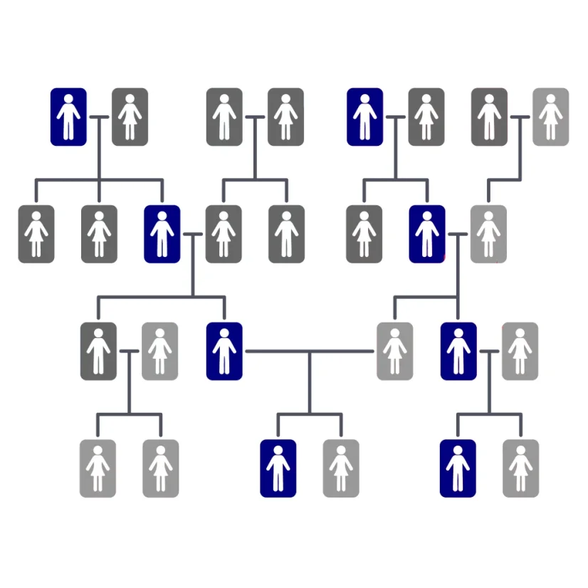 Test původu z otcovy strany PLUS