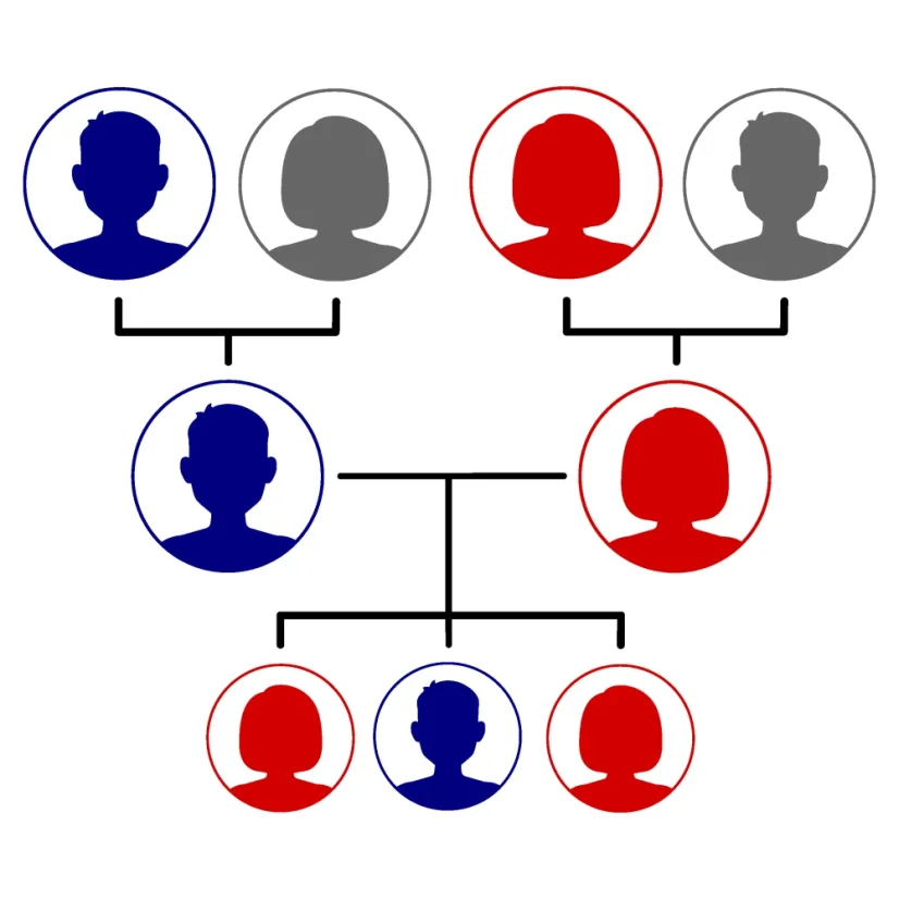 Genetický test kořenů vaší rodiny