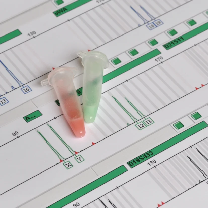 Určení talentů a genetického potenciálu