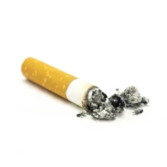 Zpracování nestandardního vzorku