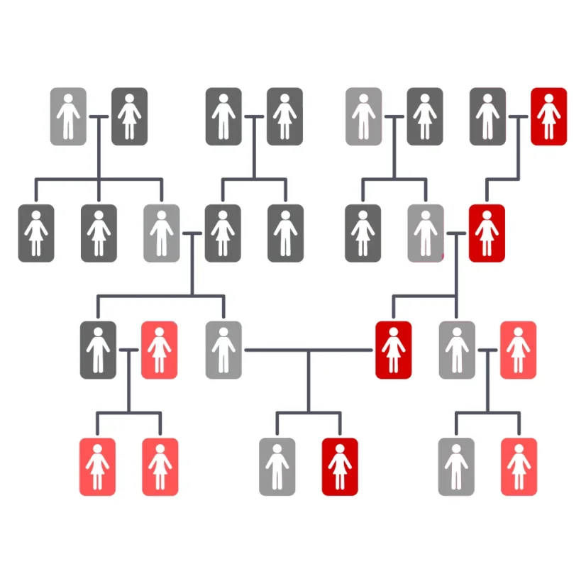 Test původu z matčiny strany PLUS